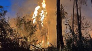 Incendio El Palmar Santa Rosa: Intensifican labores de contención en San José del Cabo