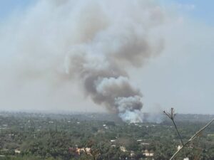 Incendio Palmares Santa Rosa: movilización de emergencias en San José del Cabo