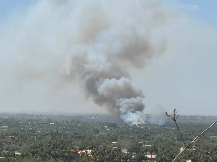 Incendio Palmares Santa Rosa: movilización de emergencias en San José del Cabo